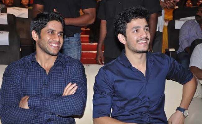 Aha Signs Akkineni Brothers Films